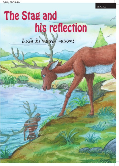 The Stag and his reflection